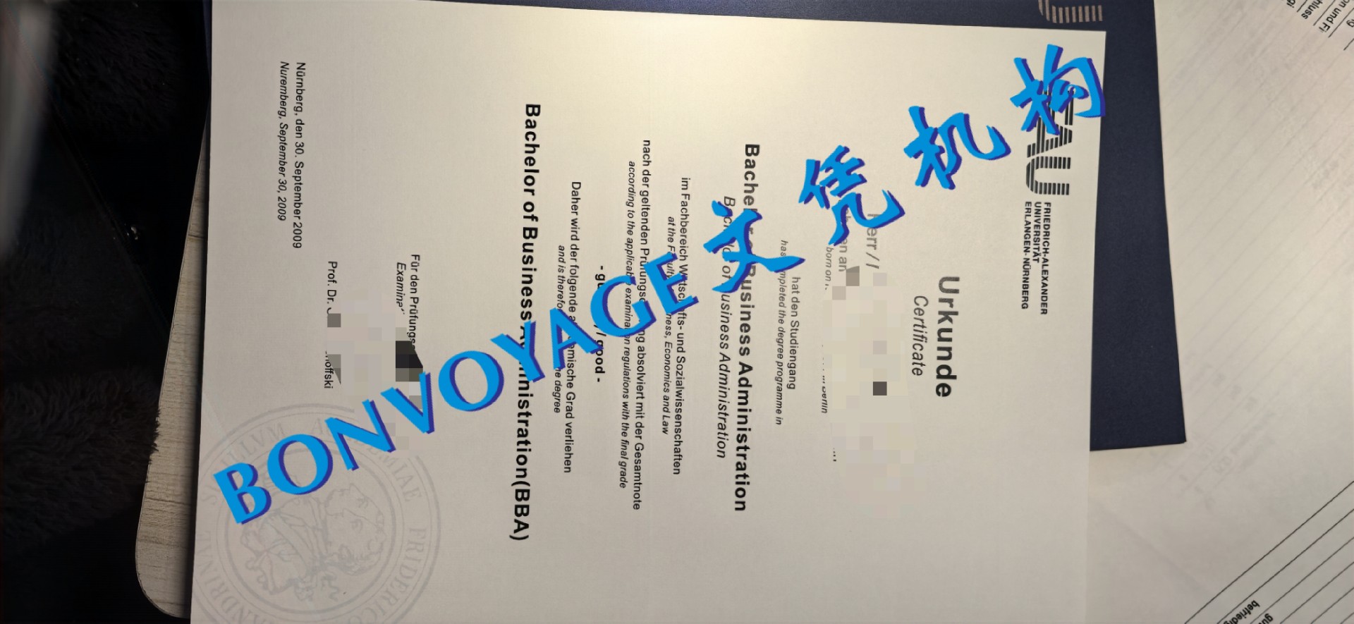 德国纽伦堡大学毕业证.jpg