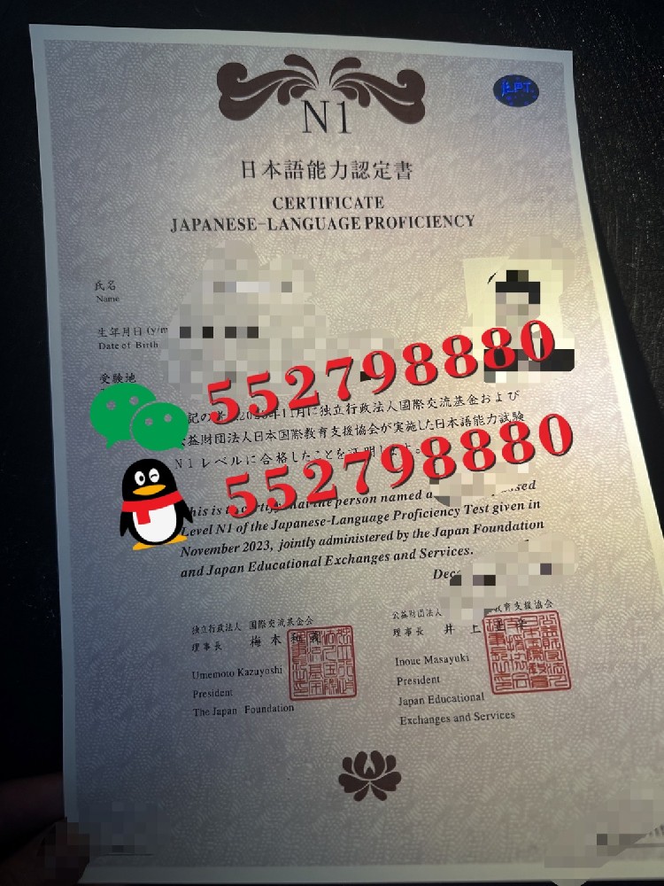 日本N1证书实用指南/N1等级证书样品