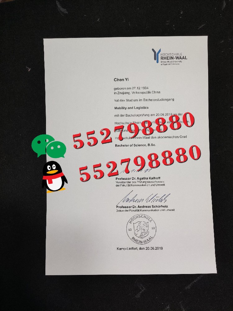 莱茵瓦尔应用技术大学毕业证书高清样品/解析莱茵瓦尔应用技术大学毕业证防伪细节