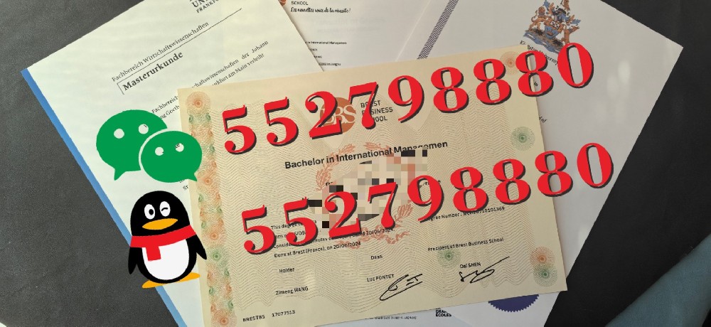 法国BBS商学院毕业证书高清实拍样品/法国BBS商学院毕业证特种纸张防伪解析