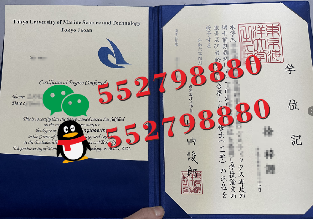 日本东洋大学学位记实拍/日本东洋大学毕业证防伪解析