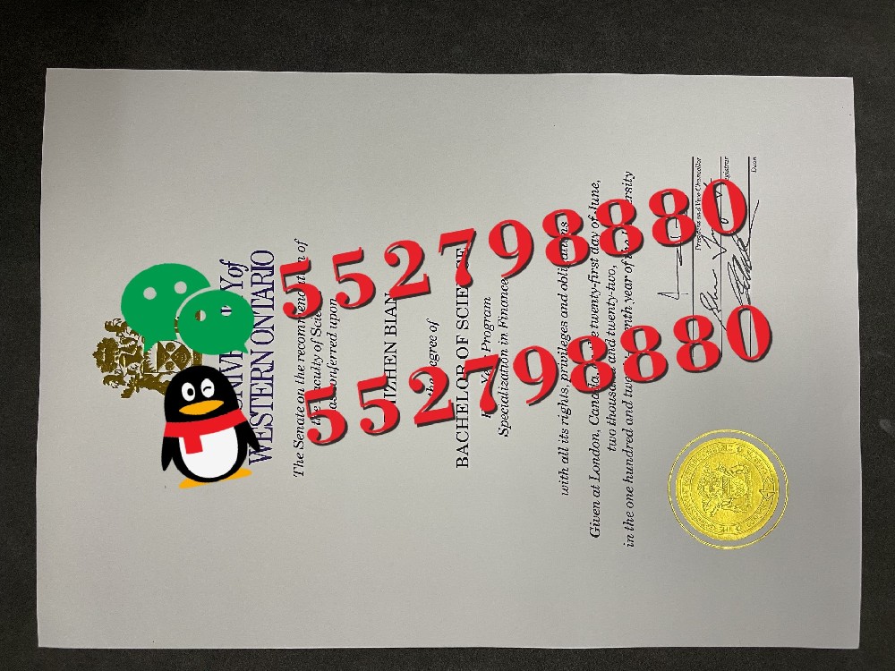 西安大略大学毕业证书版本复刻/西安大略大学毕业证书案例解析