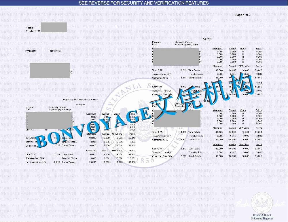 宾夕法尼亚州立大学成绩单复刻/宾夕法尼亚州立大学管理学成绩单课程计划详解