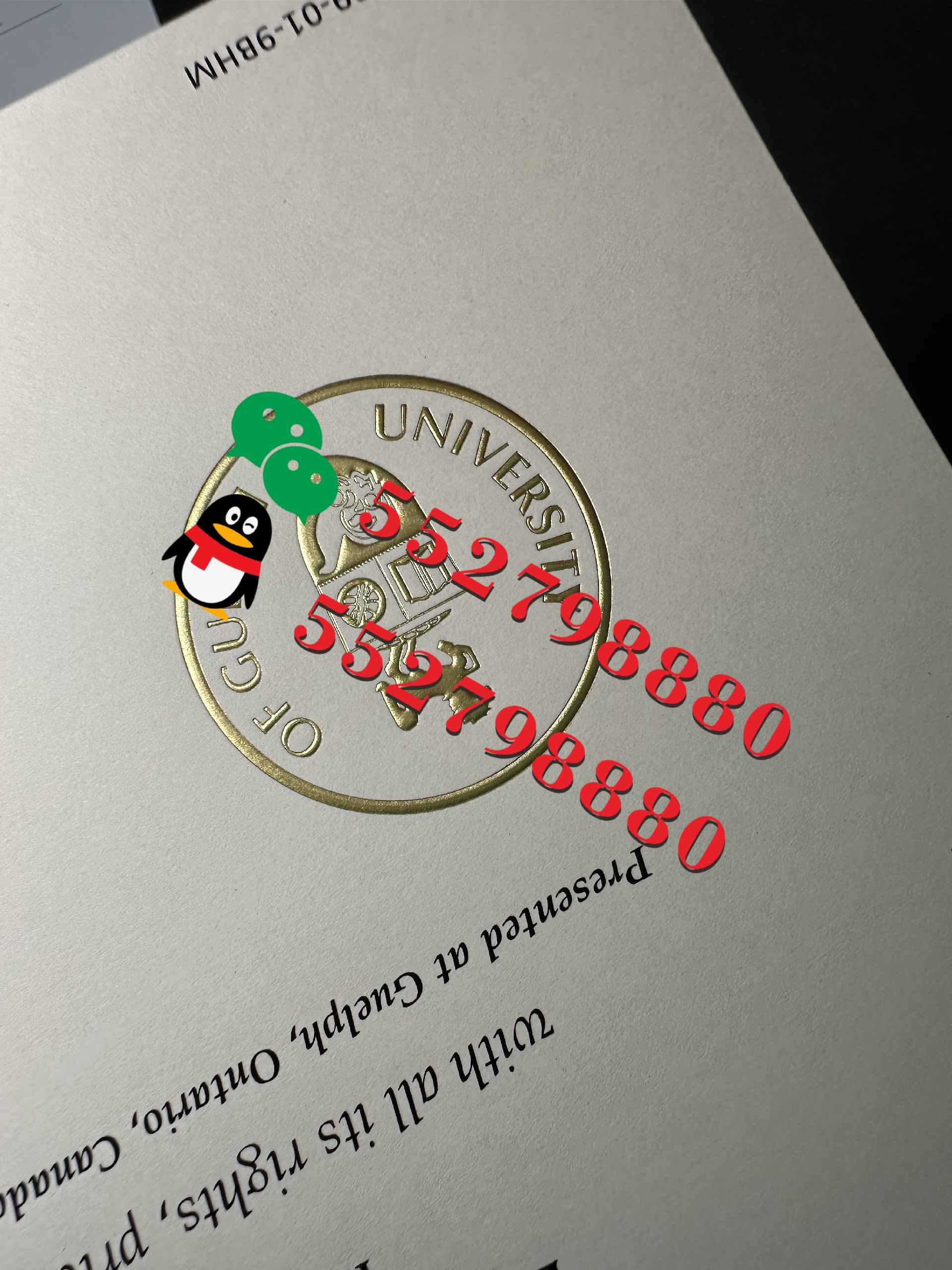 圭尔夫大学毕业证书版本复刻/圭尔夫大学学位证定制服务