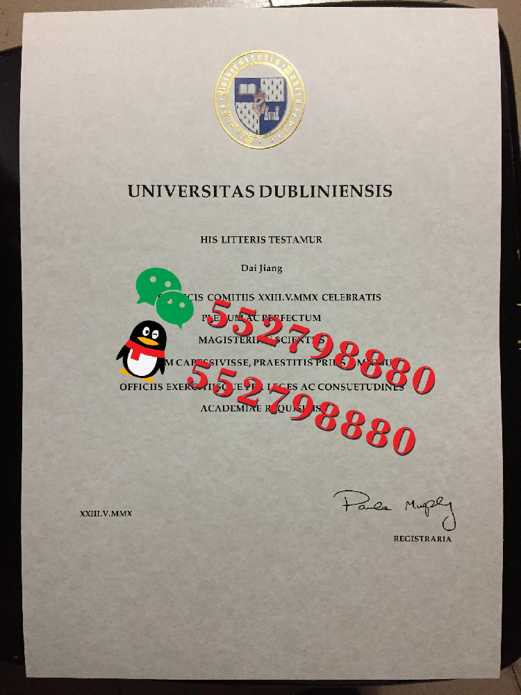 都柏林大学毕业证书版本复刻/都柏林大学统计学学位证成绩单课程规划明细都柏林大学毕业证书版本复刻/都柏林大学统计学学位证成绩单课程规划明细