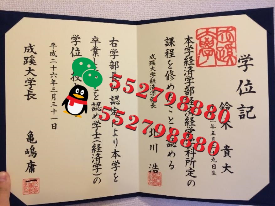 日本成蹊大学学位记版本复刻/成蹊大学情报科学科学位记解析