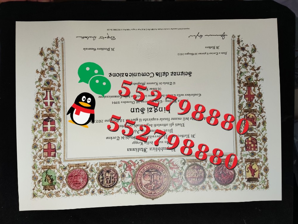 意大利都灵大学毕业证书版本复刻/意大利都灵大学外国语言文学学位证书解析