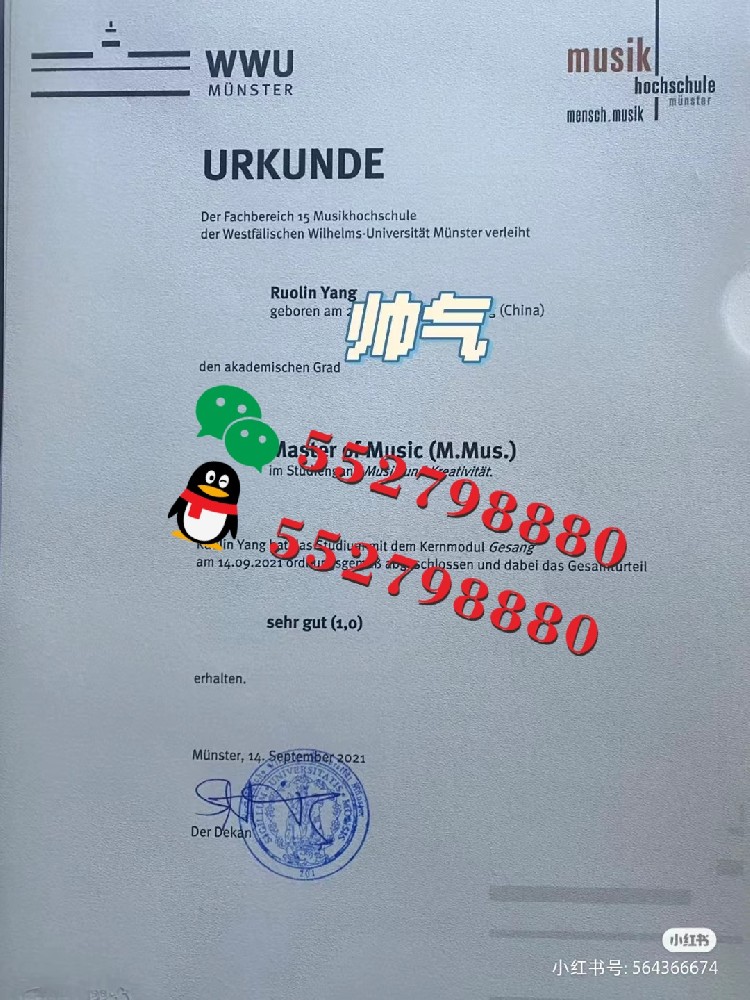 明斯特大学毕业证书实拍特写/明斯特大学商业经济学学士学位证书复刻