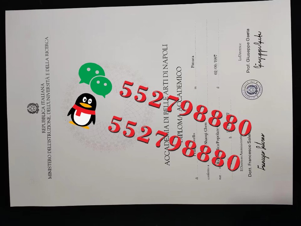 那不勒斯美术学院毕业证书实拍特写/那不勒斯美术学院绘画学士学位证书复刻