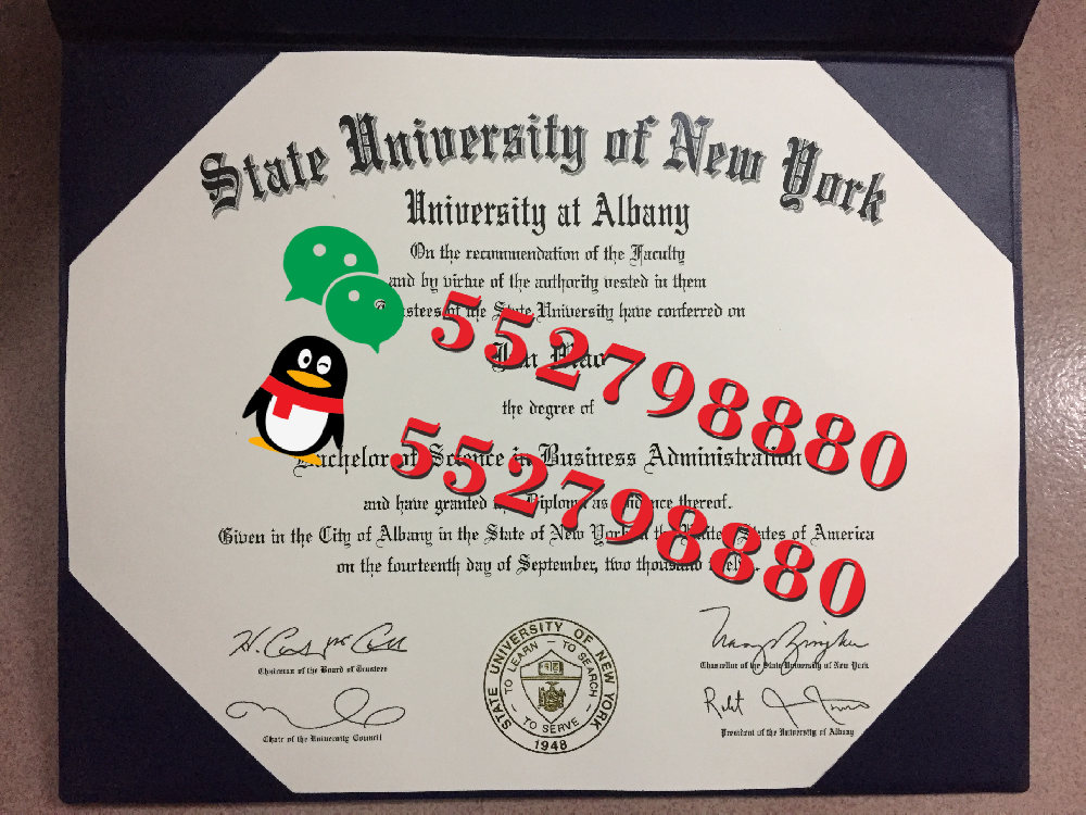 纽约州立大学奥尔巴尼分校毕业证书实拍特写/纽约州立大学奥尔巴尼分校经济学文学学士学位证复刻