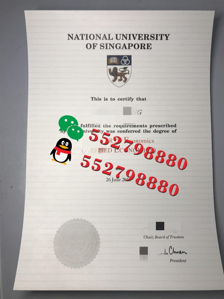 新加坡国立大学毕业证书实拍/新加坡国立大学应用经济学理学硕士学位证书复刻