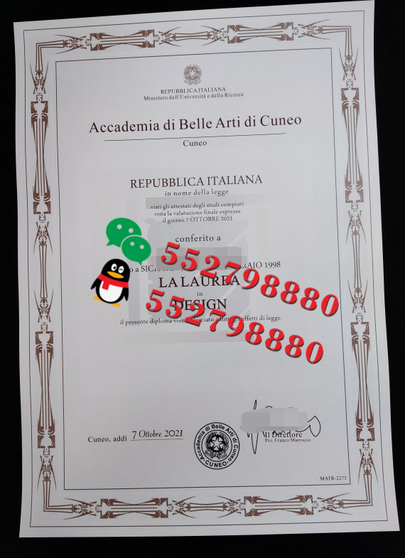 库内奥美术学院毕业证书实拍特写/库内奥美术学院绘画学士学位证书复刻