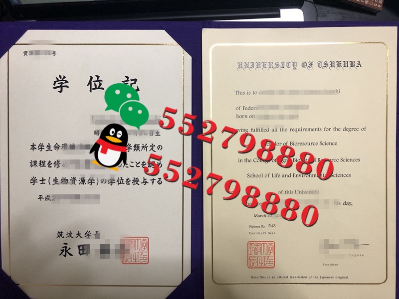 筑波大学毕业证书实拍特写/筑波大学国际关系学学士学位证书复刻