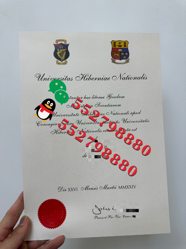 爱尔兰国立科克大学毕业证书制作流程/科克大学金融管理理学学士学位证书复刻
