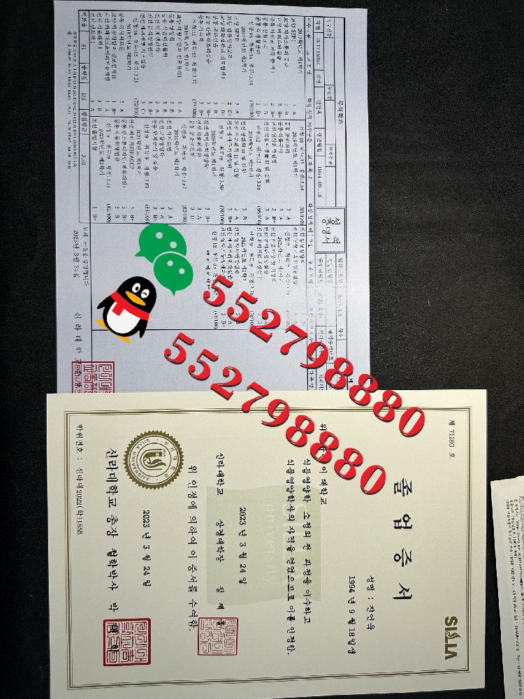 韩国新罗大学毕业证书制作流程/韩国新罗大学环境工学学位证书定制